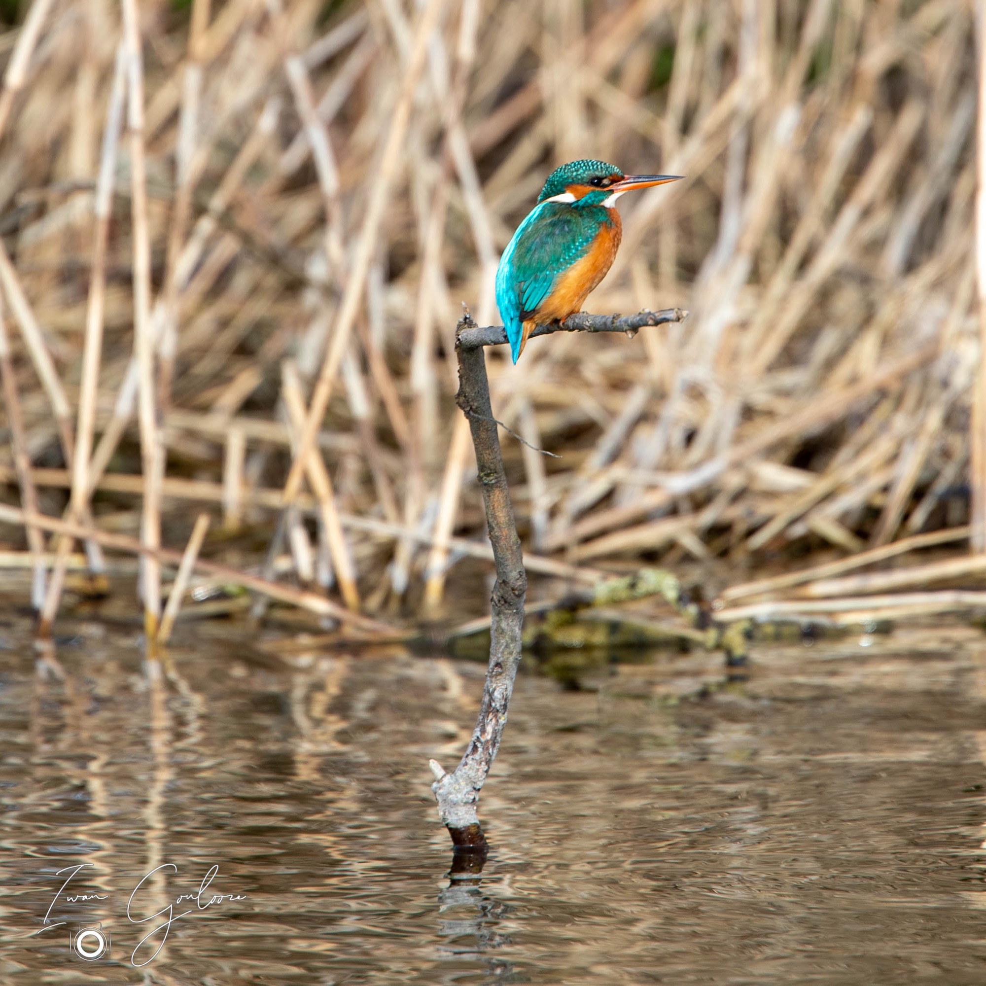 12 maart 2022 162343 1DX45326